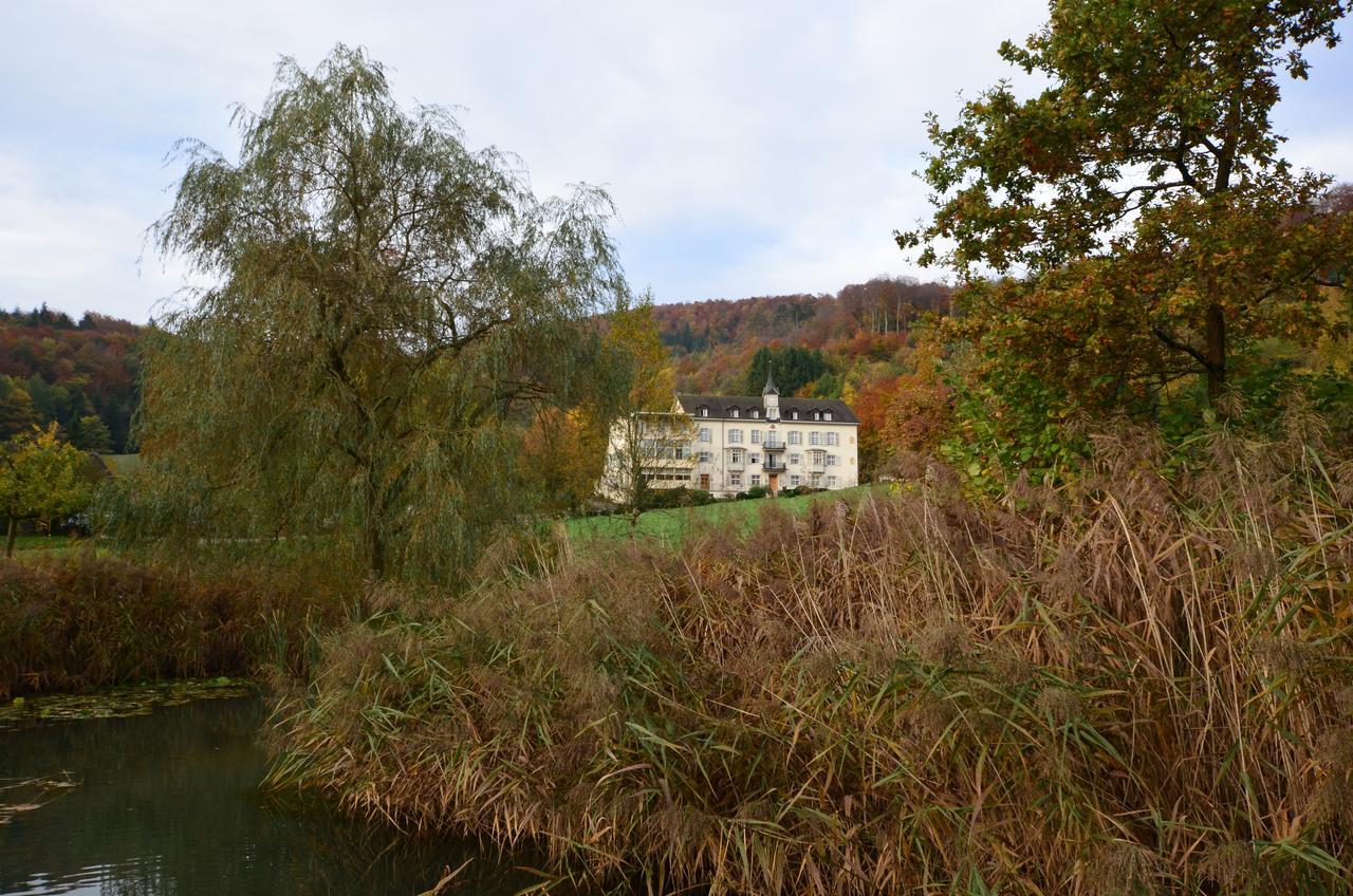 Hotel Bad Schauenburg Liestal Exteriér fotografie
